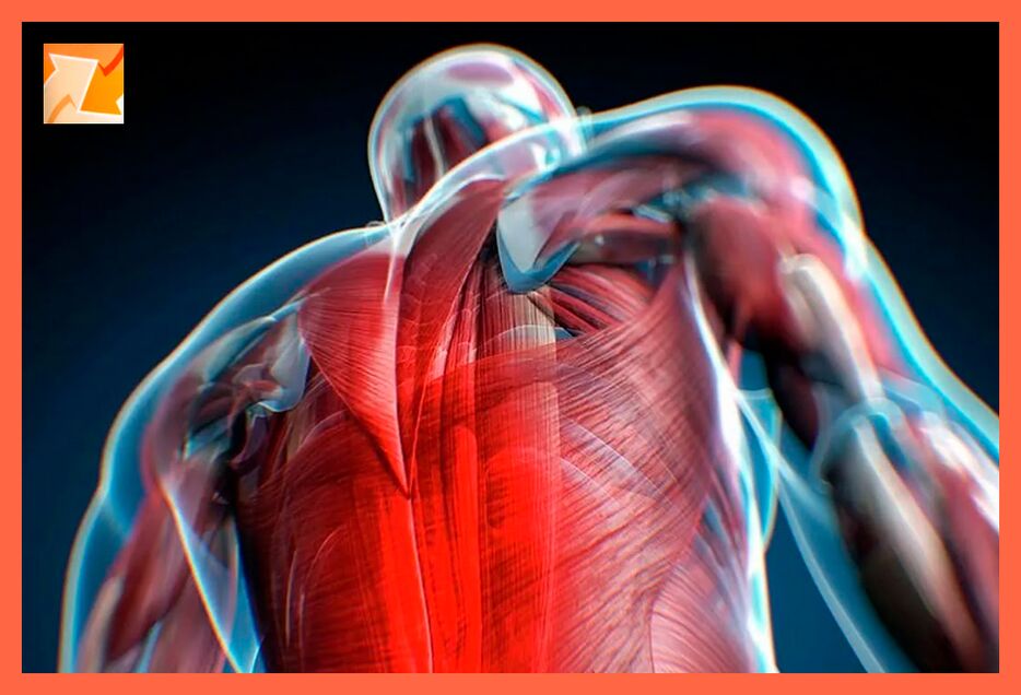 Značilnosti neugodja